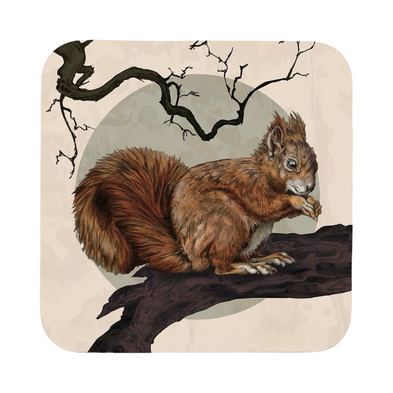 A coaster featuring an illustration of a red squirrel perched on a tree branch.