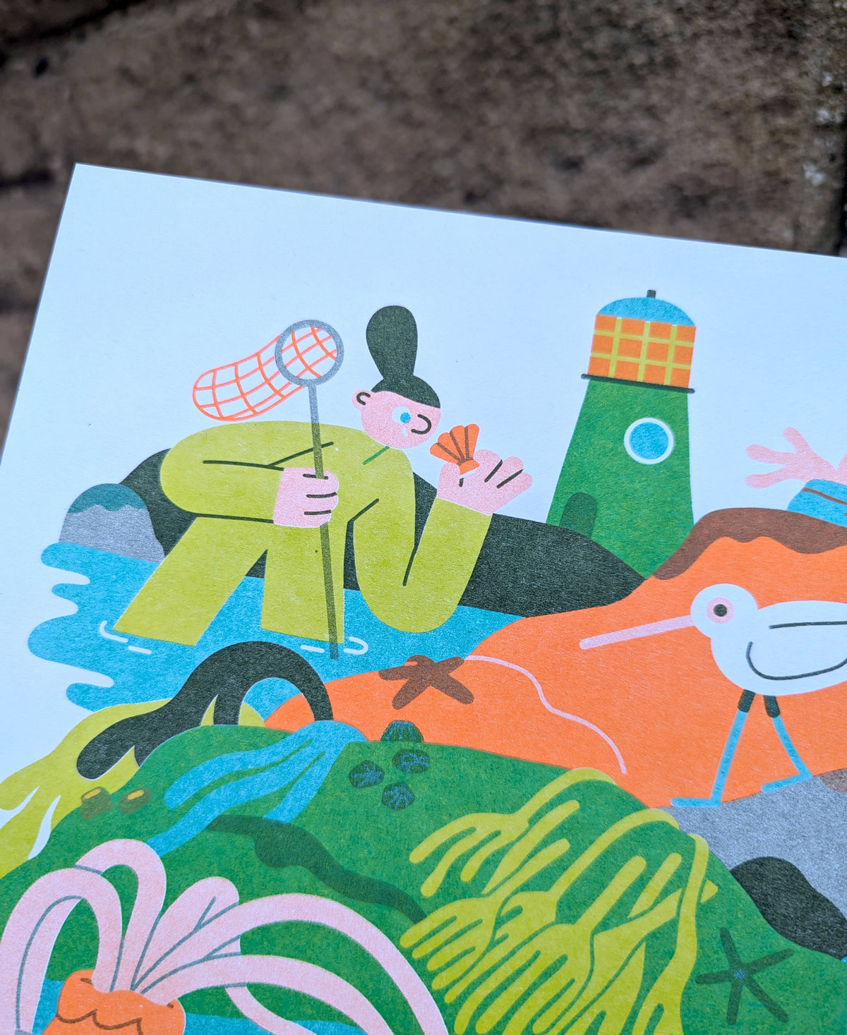 Close up of the corner of rockpool art print, featuring a person holding a net and a shell.