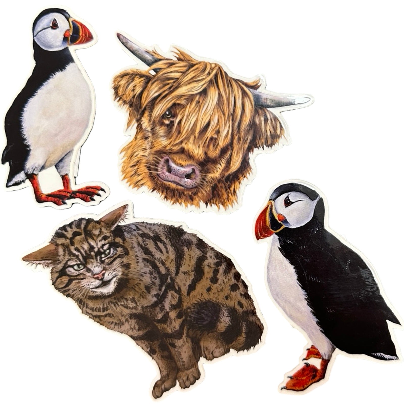 Rona Innes stickers together.