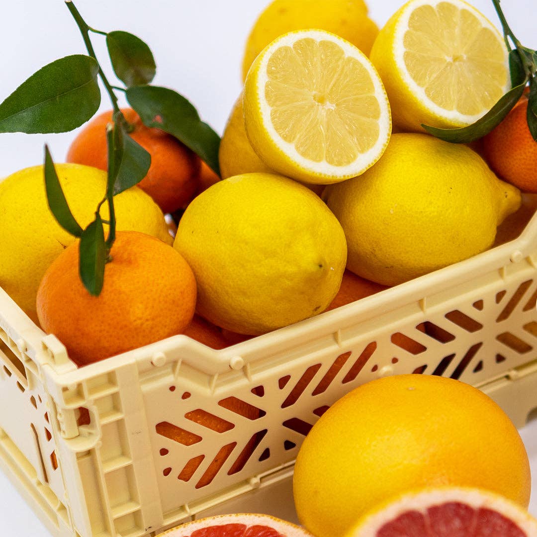 Basket of lemons and oranges with a white background