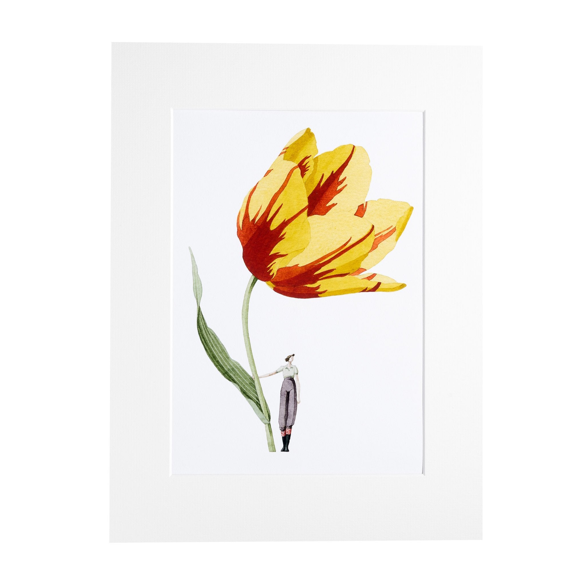 Tulip Mounted Print