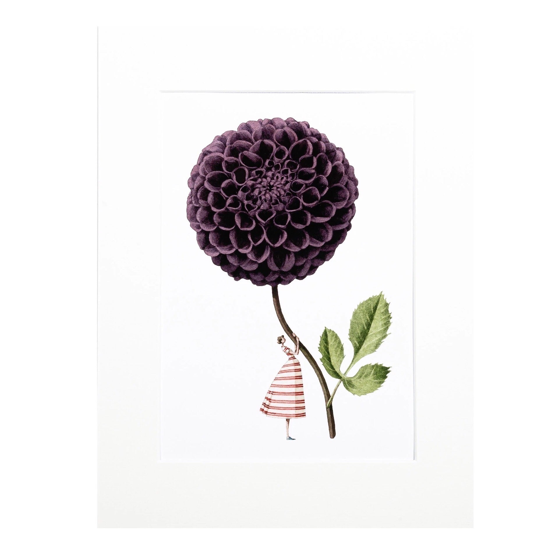 Purple Dahlia Flower Mounted Print