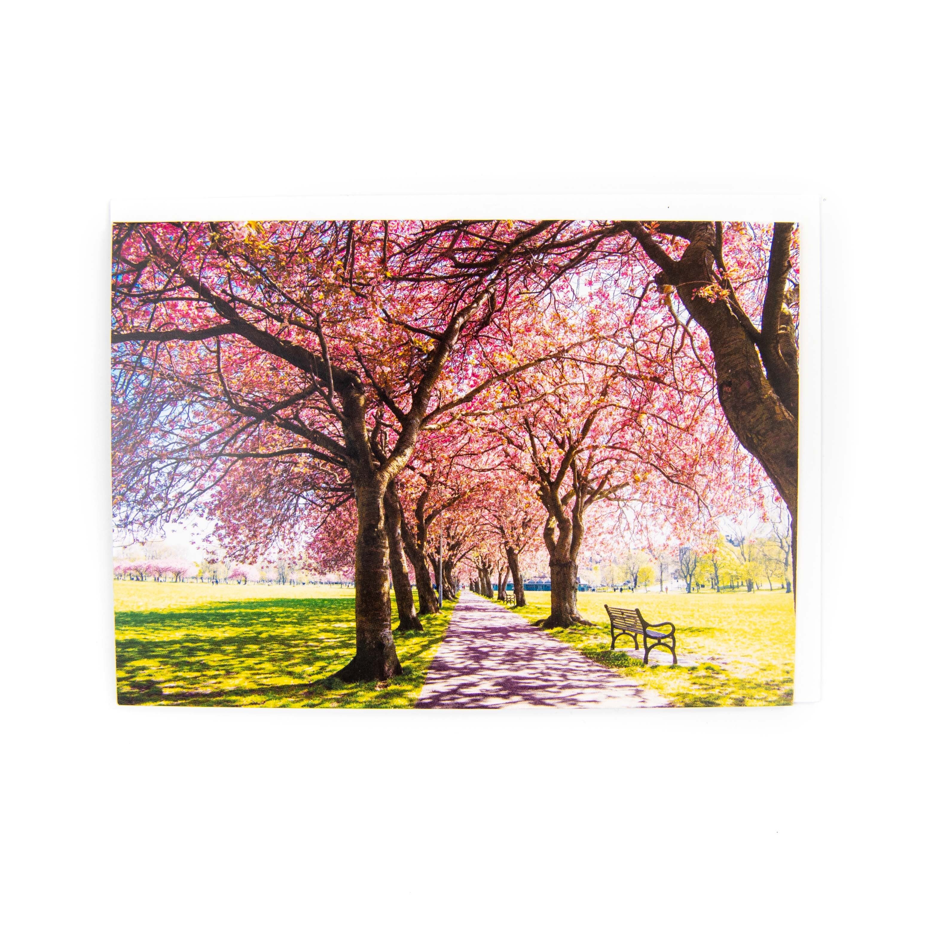 Meadows Blossom Bench Card