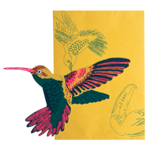 Hummingbird Pop Up Card