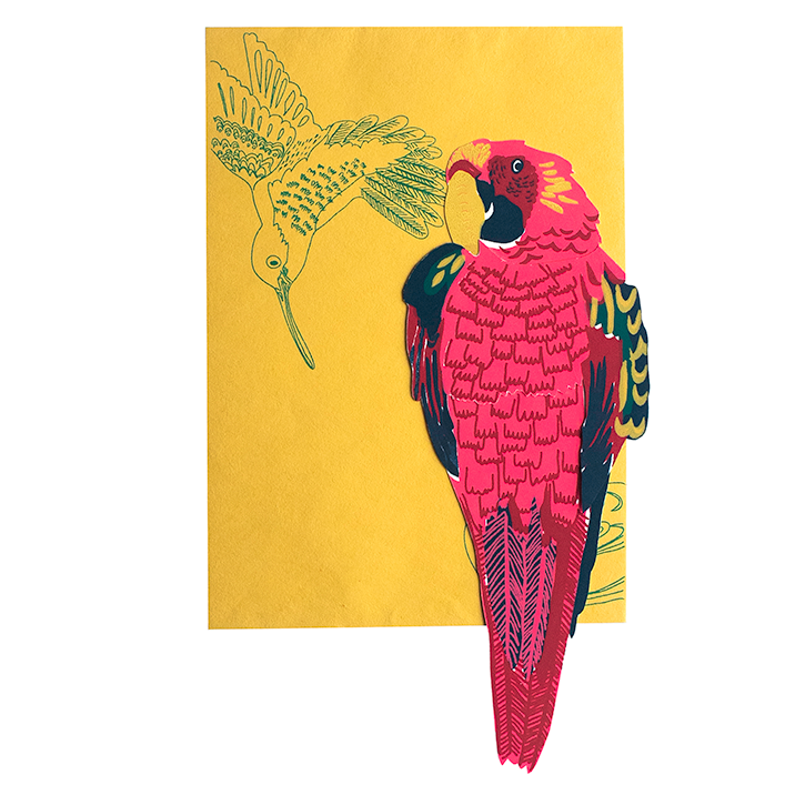 Parrot Pop Up Card