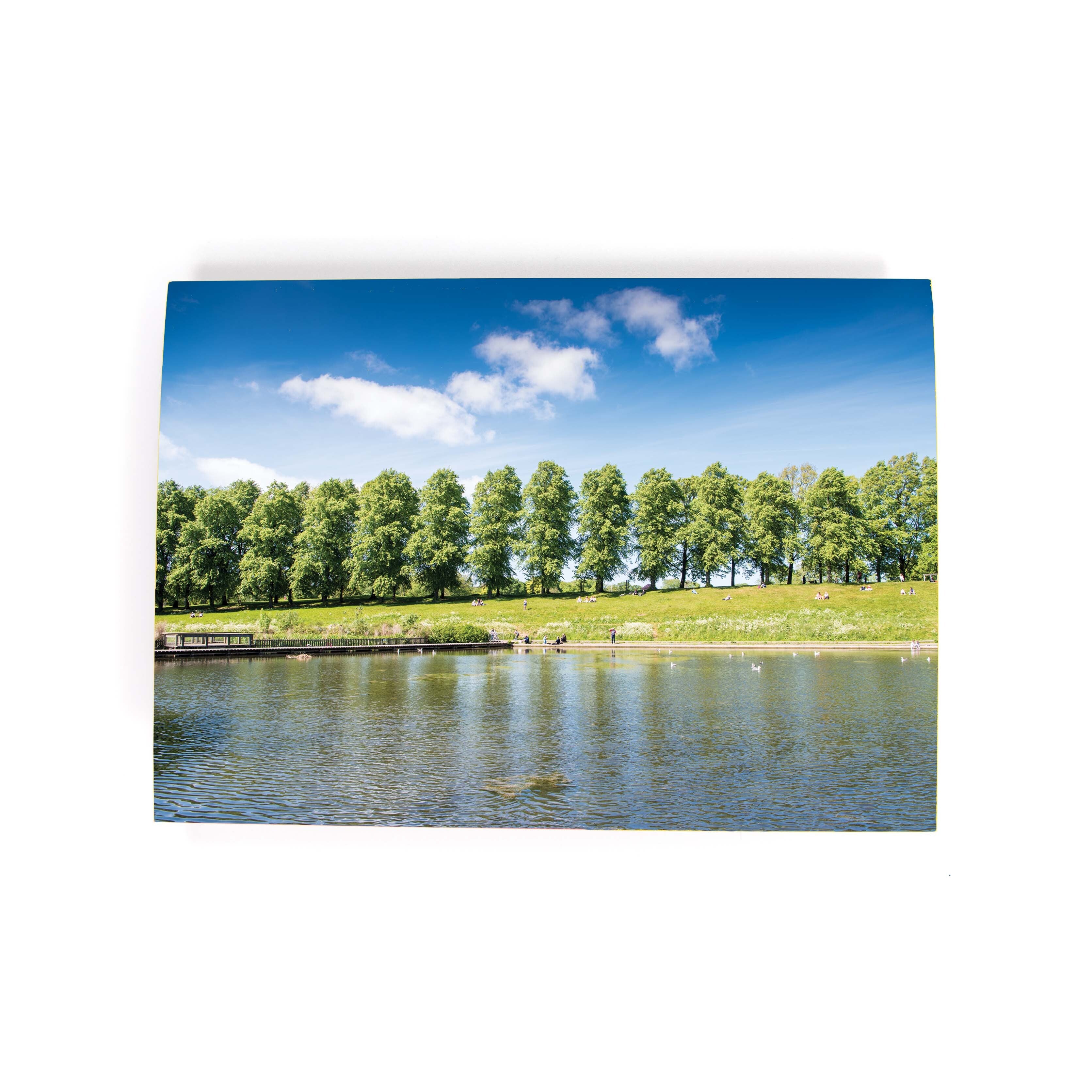 Inverleith Park Edinburgh Card