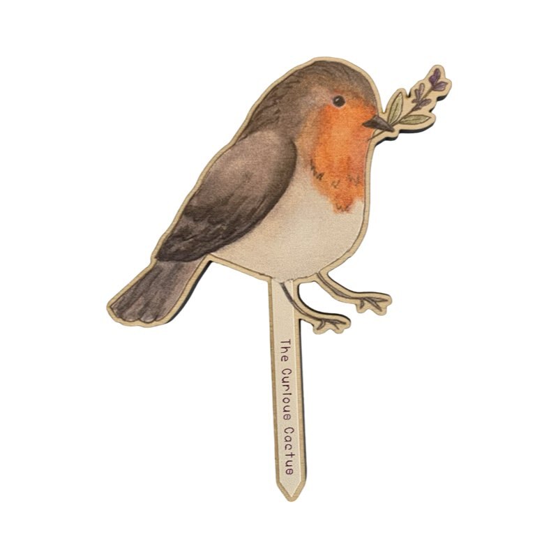 Robin Wooden Plant Pot Pal