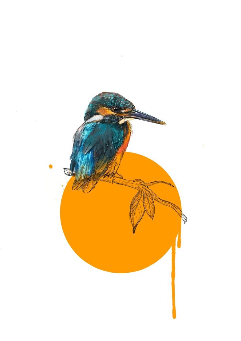 Kingfisher Print