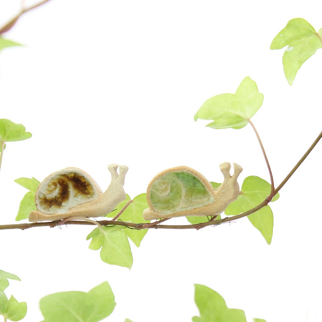 Snail plant hugger, handmade using British clay and recycled glass, on plants.