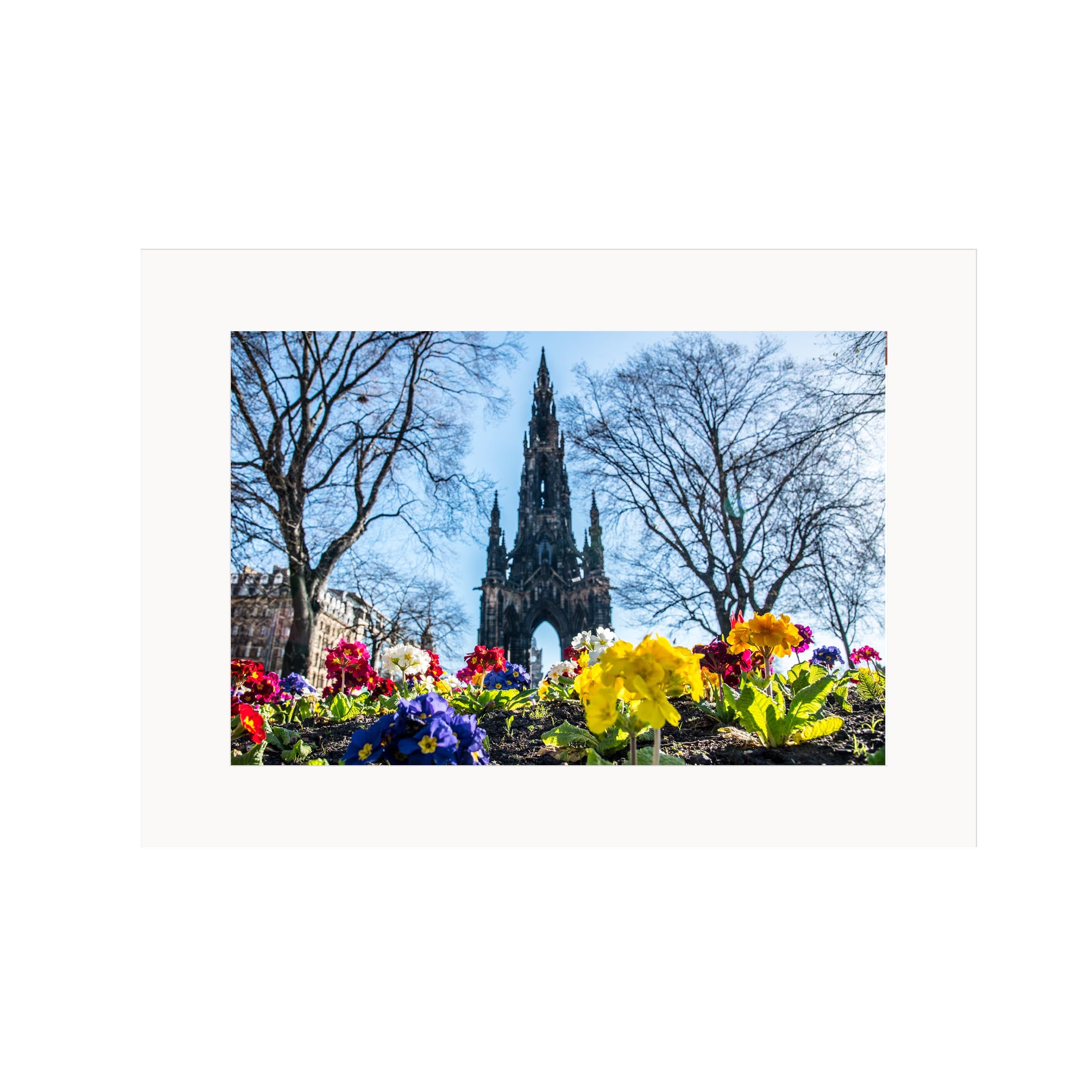 A picture of the Scott Monument with colourful flowers in the foreground in a mount. 