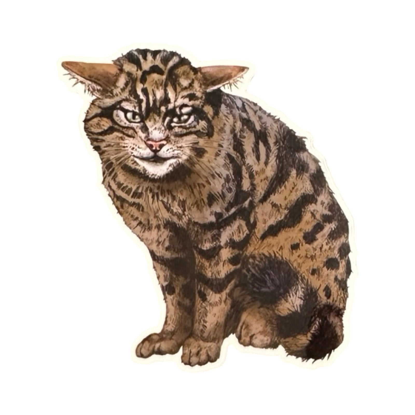 This cat-shaped vinyl sticker features an illustration of a Scottish wildcat