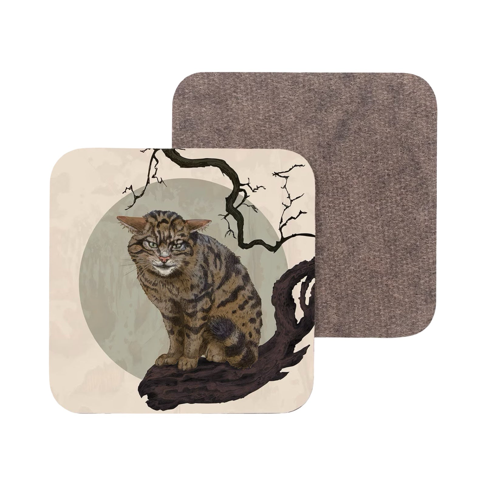 A drink coaster featuring an illustration of a Scottish wildcat perched on a tree branch.
