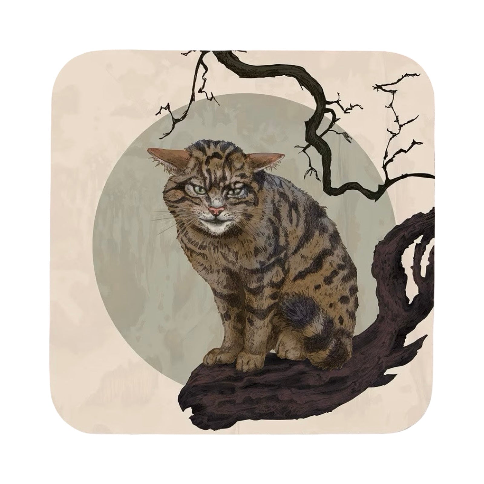 A drink coaster featuring an illustration of a Scottish wildcat perched on a tree branch.