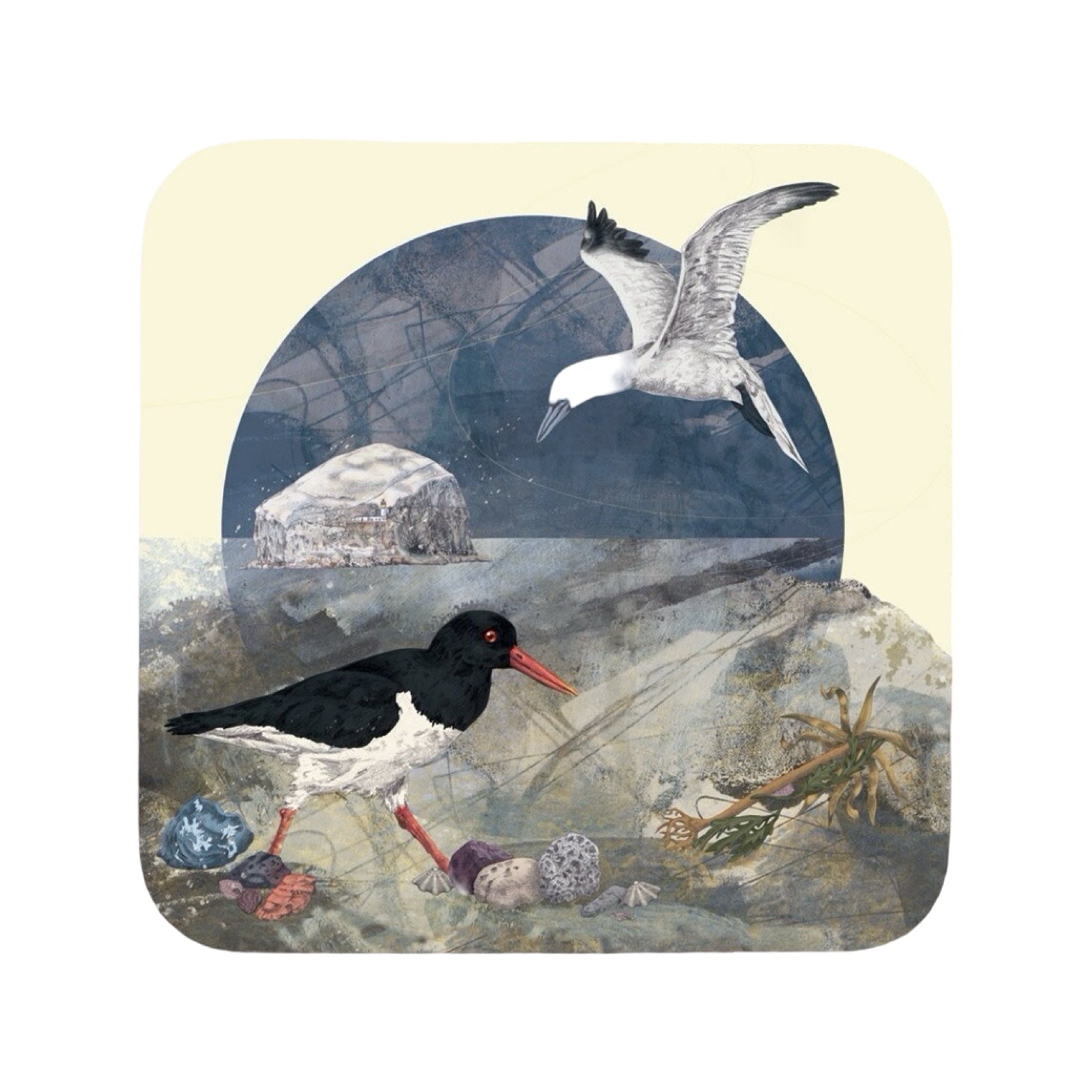 A coaster featuring an illustration of seabirds on the shoreline. 