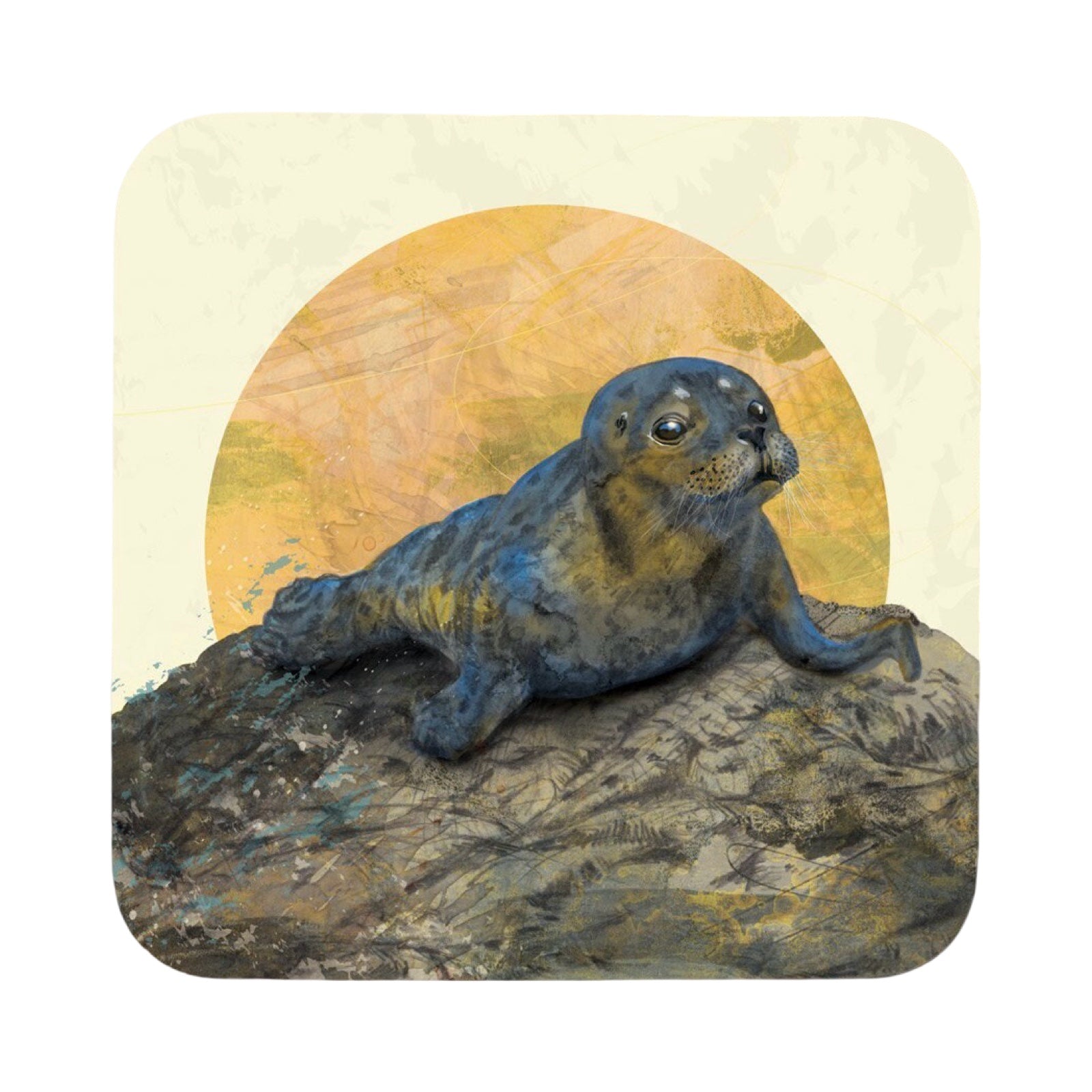A coaster featuring an illustration of a common seal basking on a rock under the moon.