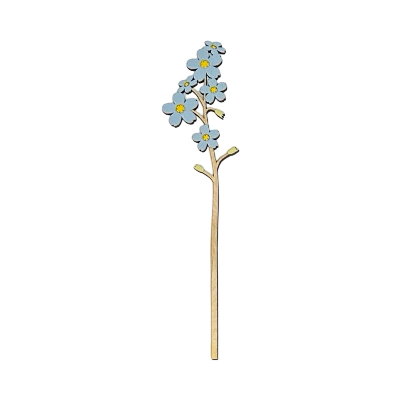 Single forget-me-not wooden stem with blue flowers.