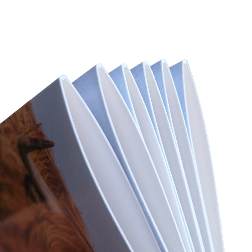 A stack of six cards against a white background. 