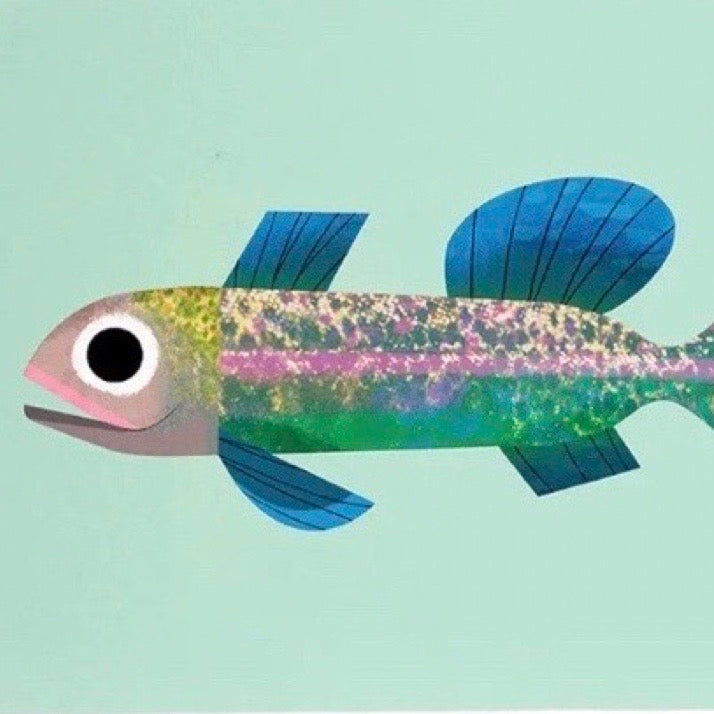 Colourful fish illustrated postcard on a pale blue background.