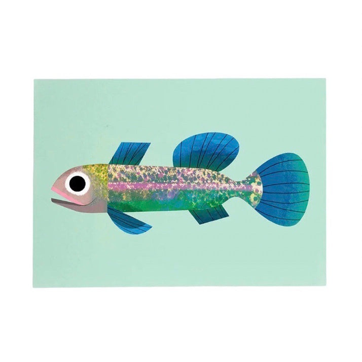 Colourful fish illustrated postcard on a pale blue background.