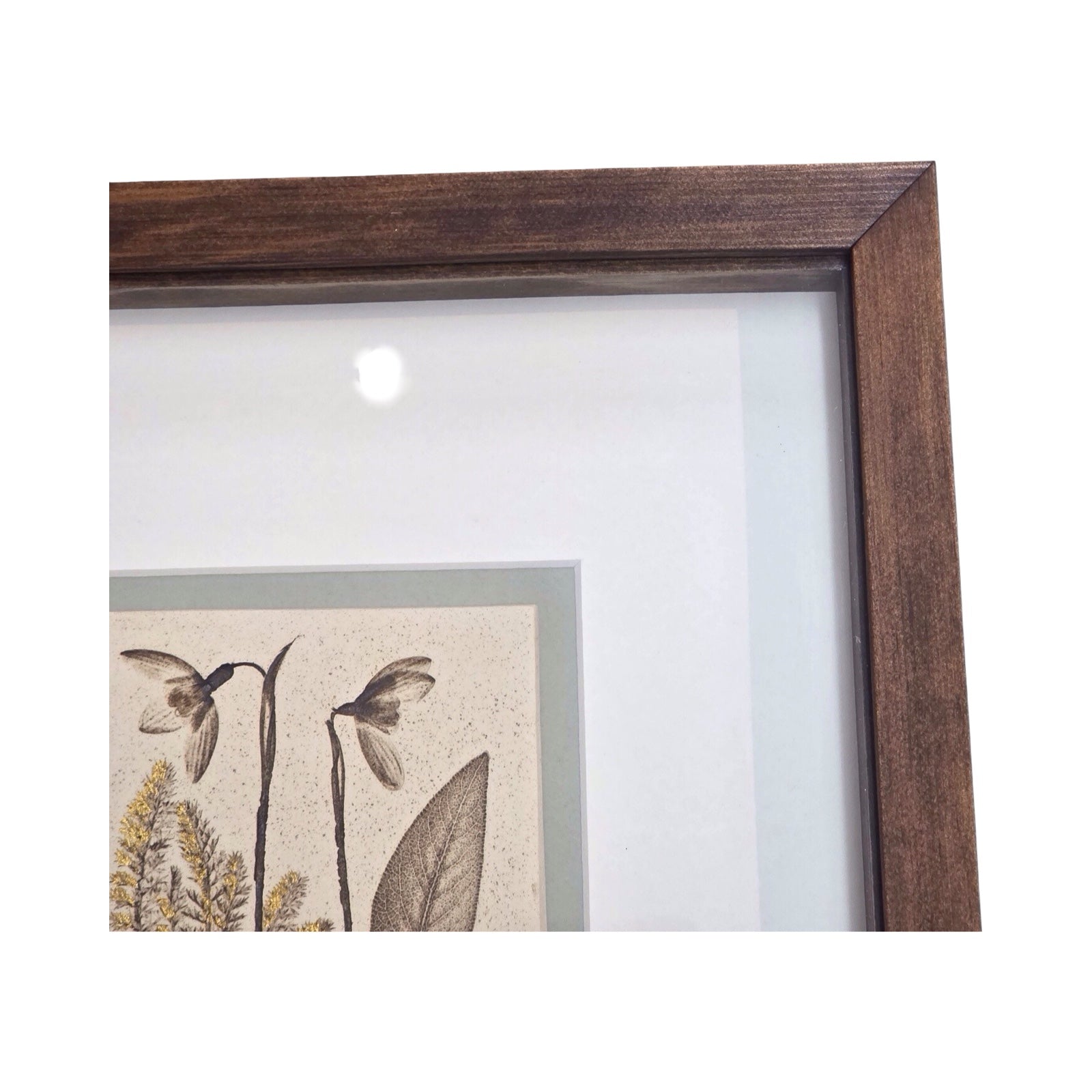 Close-up of a framed botanical tile with a snowdrop in a wench wooden frame on a white background