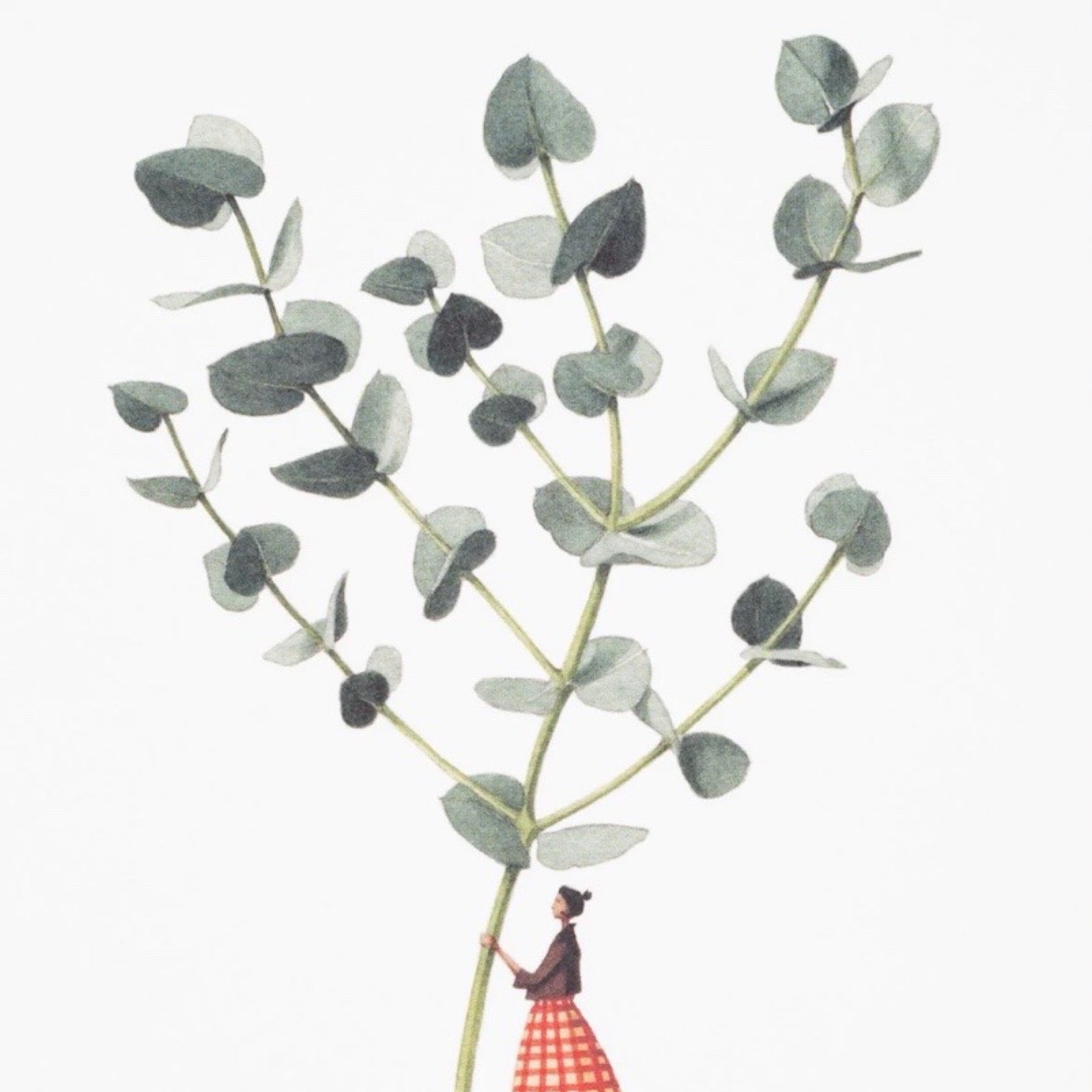 Illustration of a person holding a large eucalyptus branch on a white background.