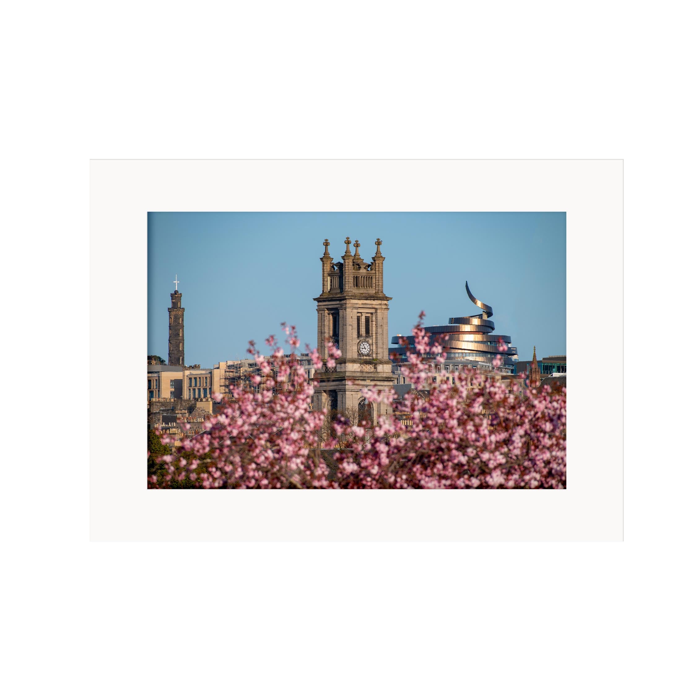 An image of St Stephen's Church Edinburgh with cherry blossom in the foreground. 