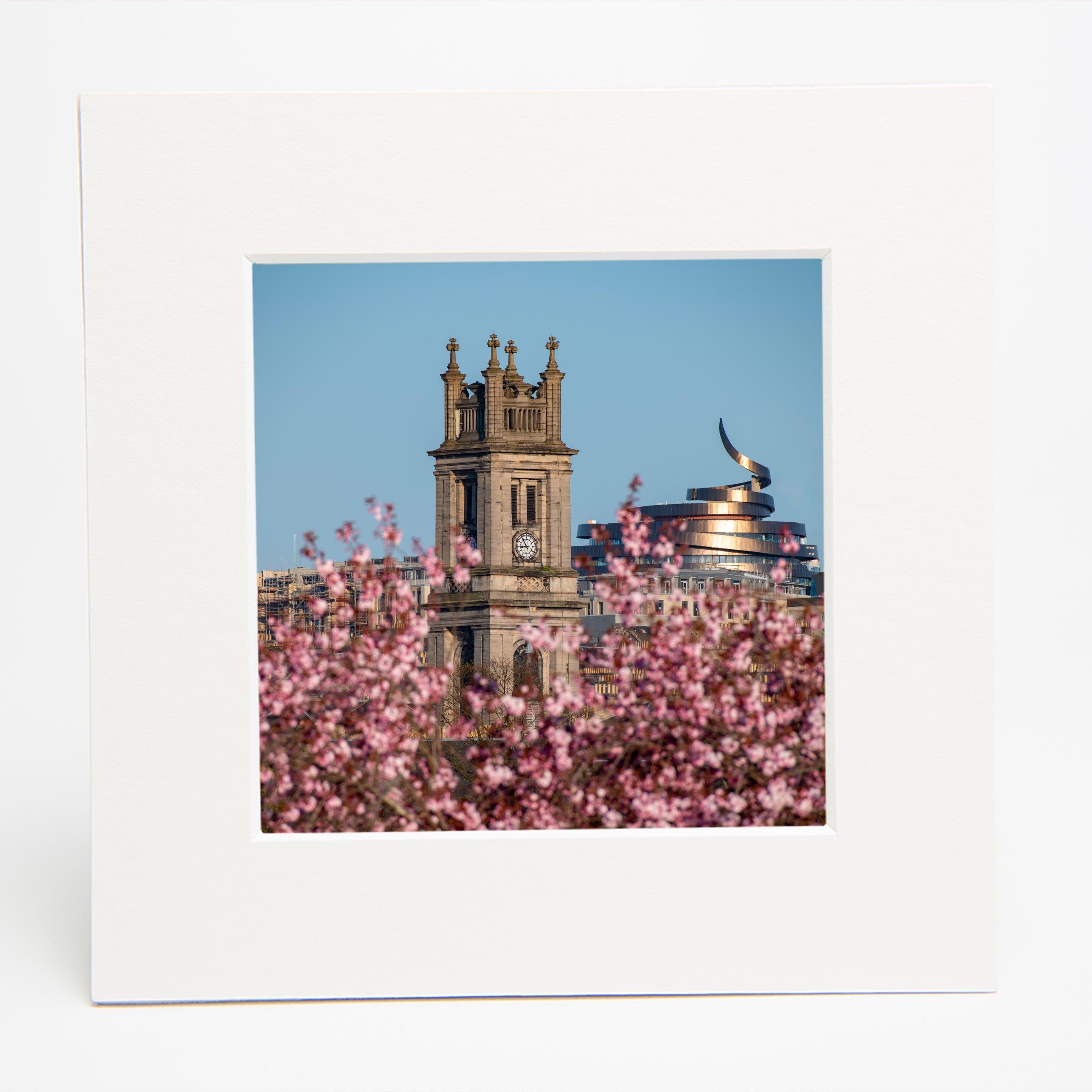 An image of St Stephen's Church Edinburgh with cherry blossom in the foreground in a square mount. 