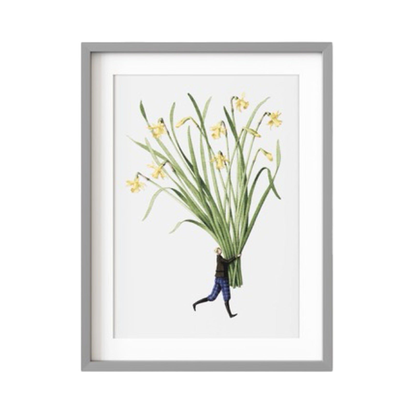 A framed print of a bunch of Tête à Tête daffodils held by a lady dressed in blue checked trousers and a dark jacket. 