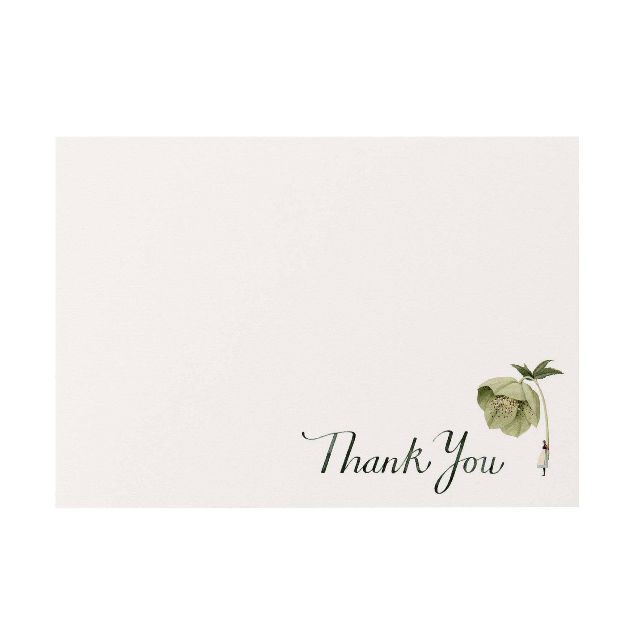 flat notes featuring an illustration of a lady holding a giant hellebore flower and the text 'thank you'.