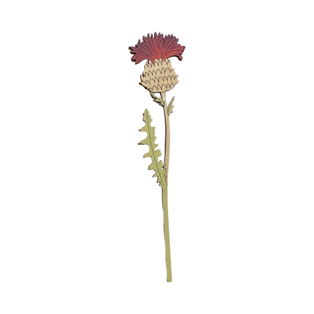 Single thistle wooden stem with purple flower.