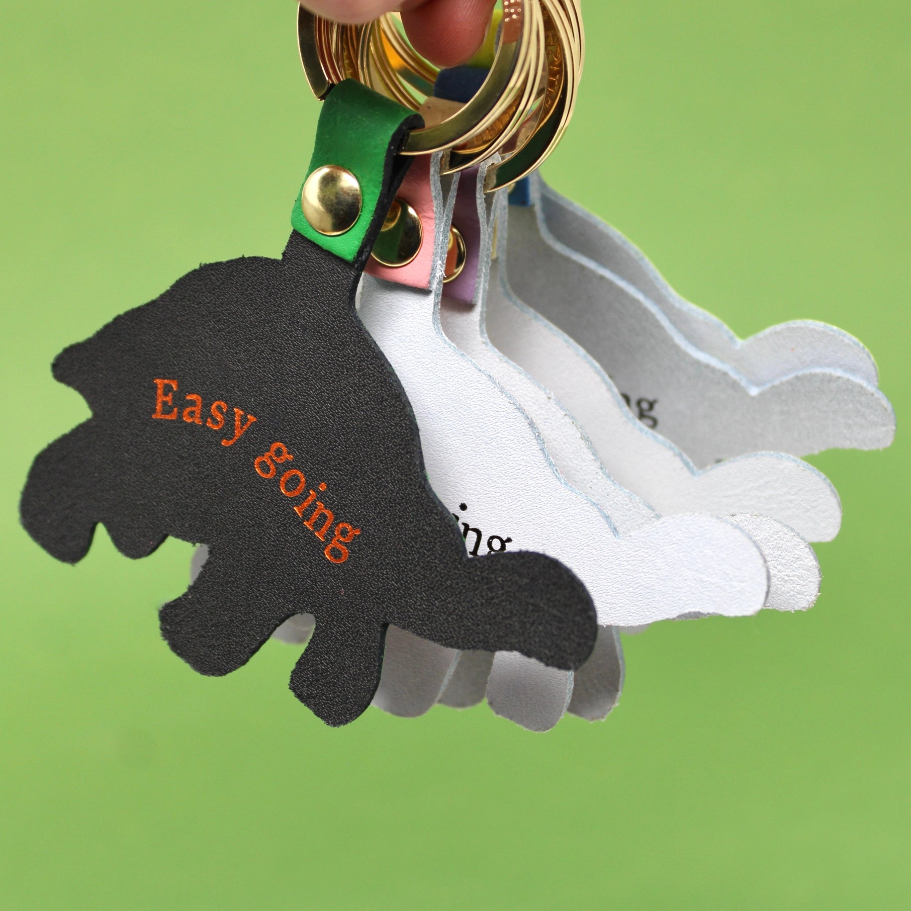 Back of tortoise shaped key rings with 'Easy going' text on a green background.