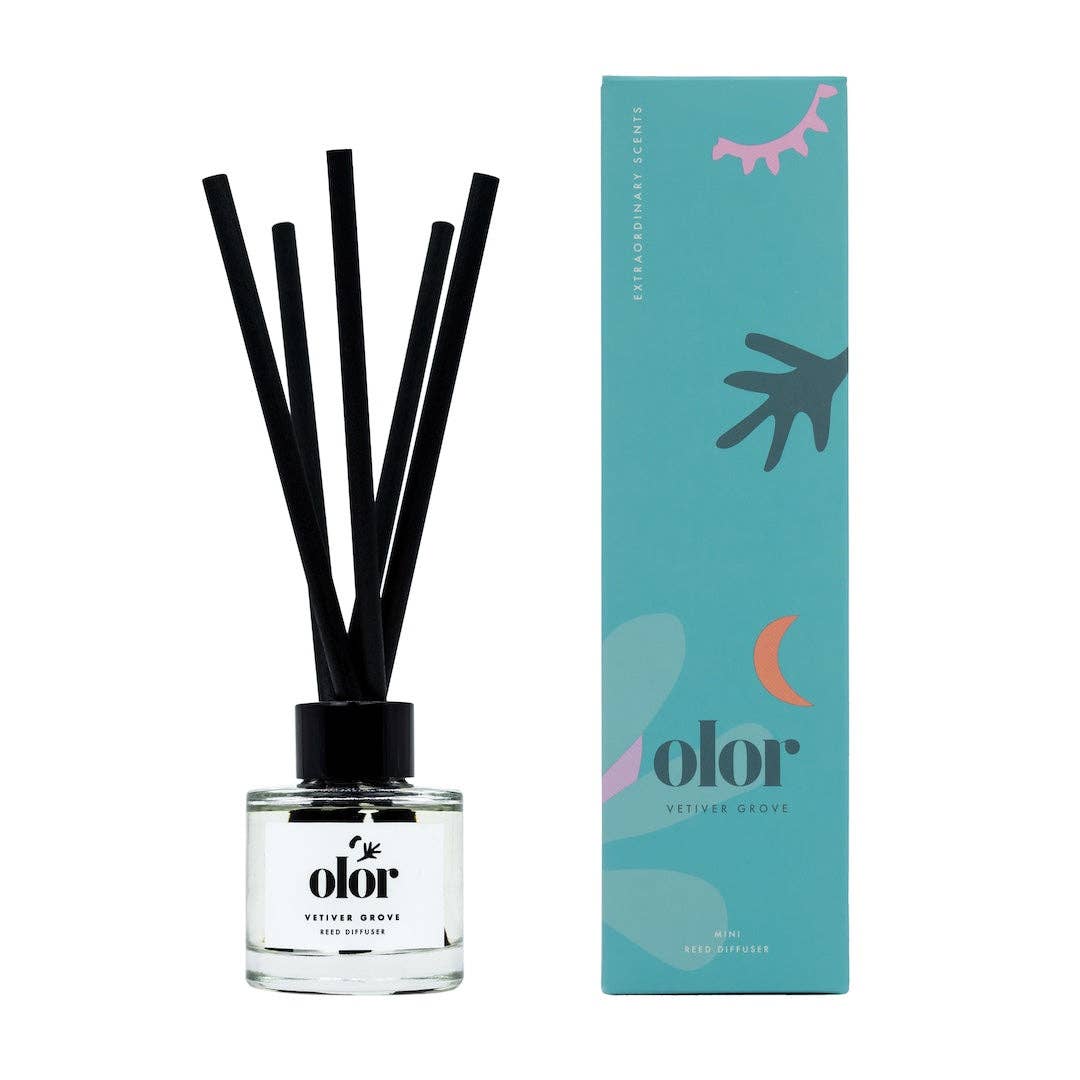 Olor diffuser bottle with black sticks and teal packaging on a white background
