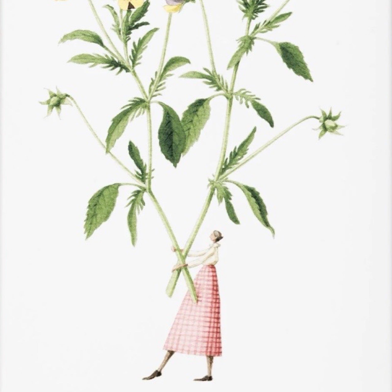Illustration of a person holding a large plant on a white background.