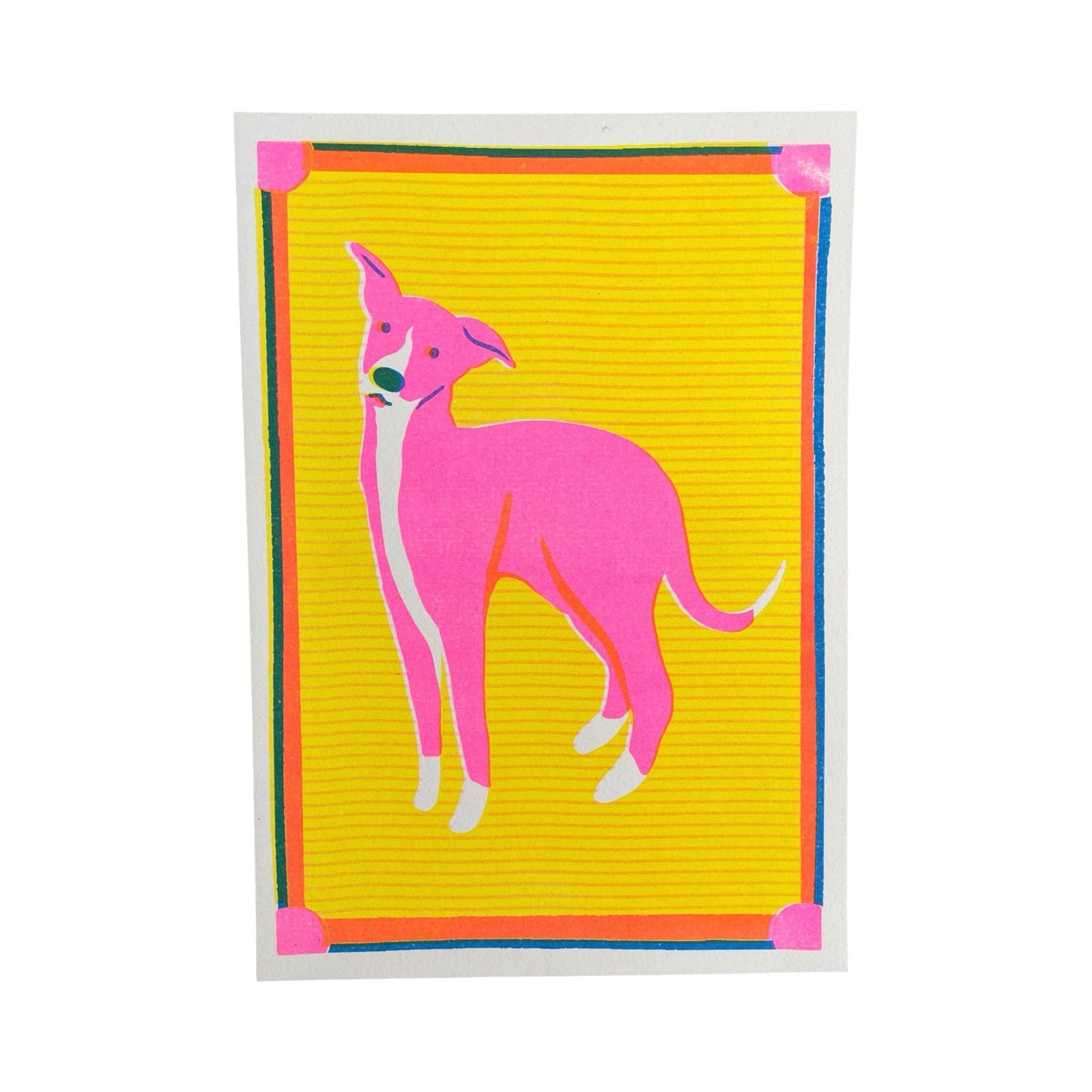 Whippet Mini Print | Independent Gift Shop Edinburgh