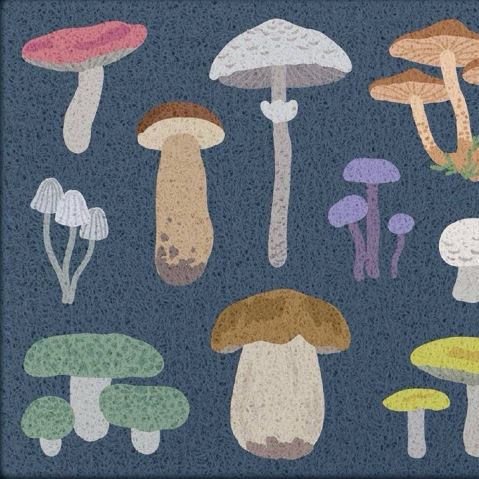 Illustrated mushrooms in various shapes, sizes, and colours including pink, green, purple, yellow, brown, and white on a dark blue textured background.