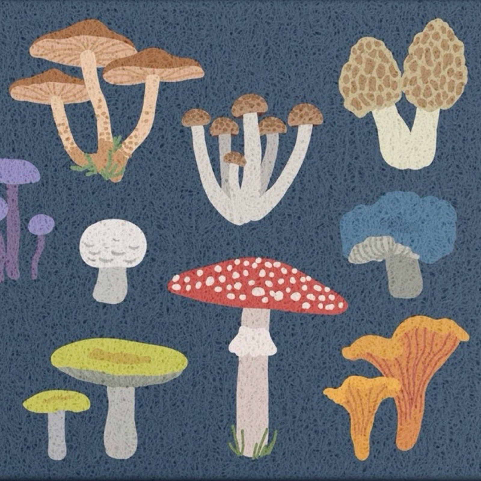 A doormat featuring a collection of whimsical, textured illustrations of various mushrooms in shades of brown, red, yellow, blue, and purple on a dark blue speckled background.
