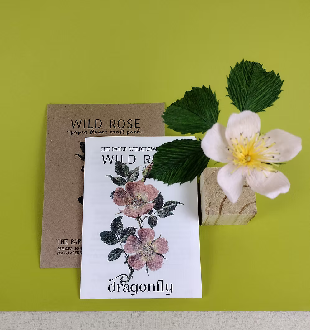 Wild Rose paper flower craft pack with a white flower on a green background.