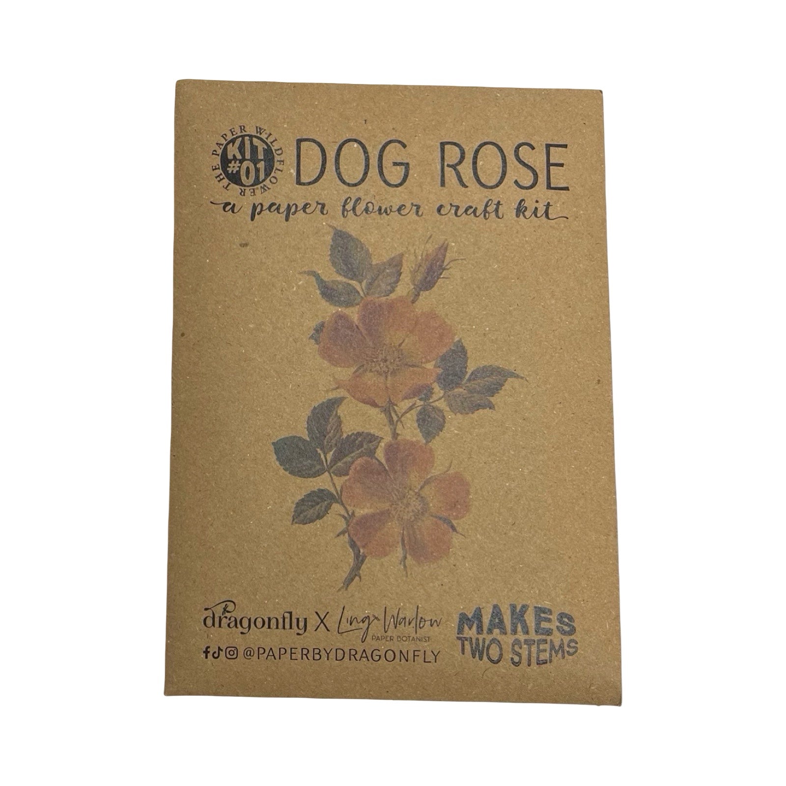 Dog Rose paper flower craft kit packaging on a white background.