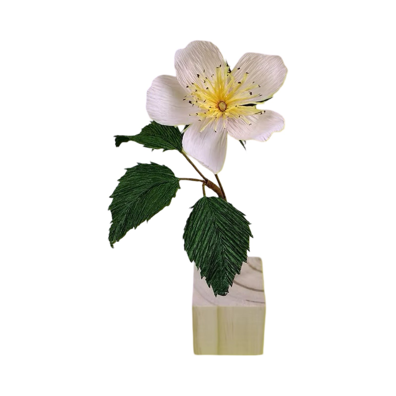 White flower with green leaves on a white background.