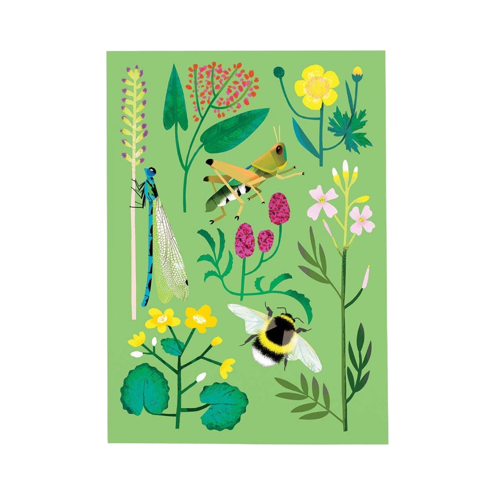 Illustration of insects and flowers on a green background.