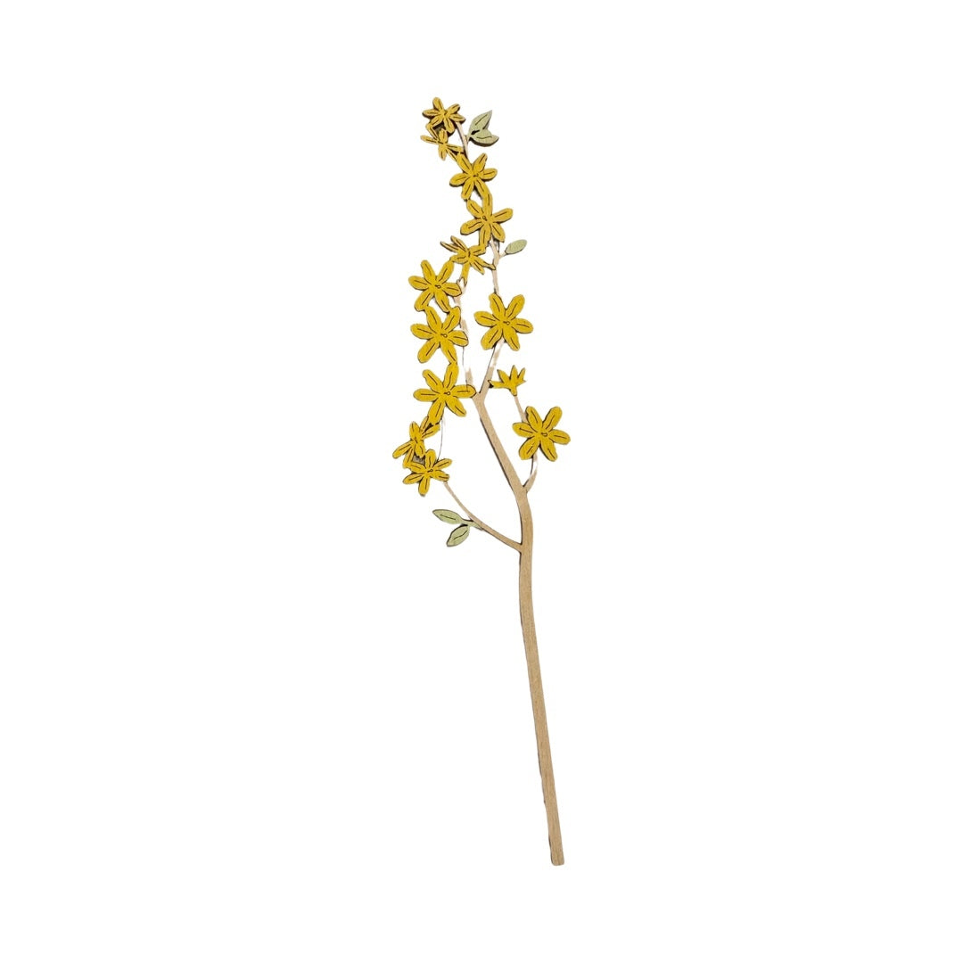 Single winter jasmine wooden stem with yellow flowers