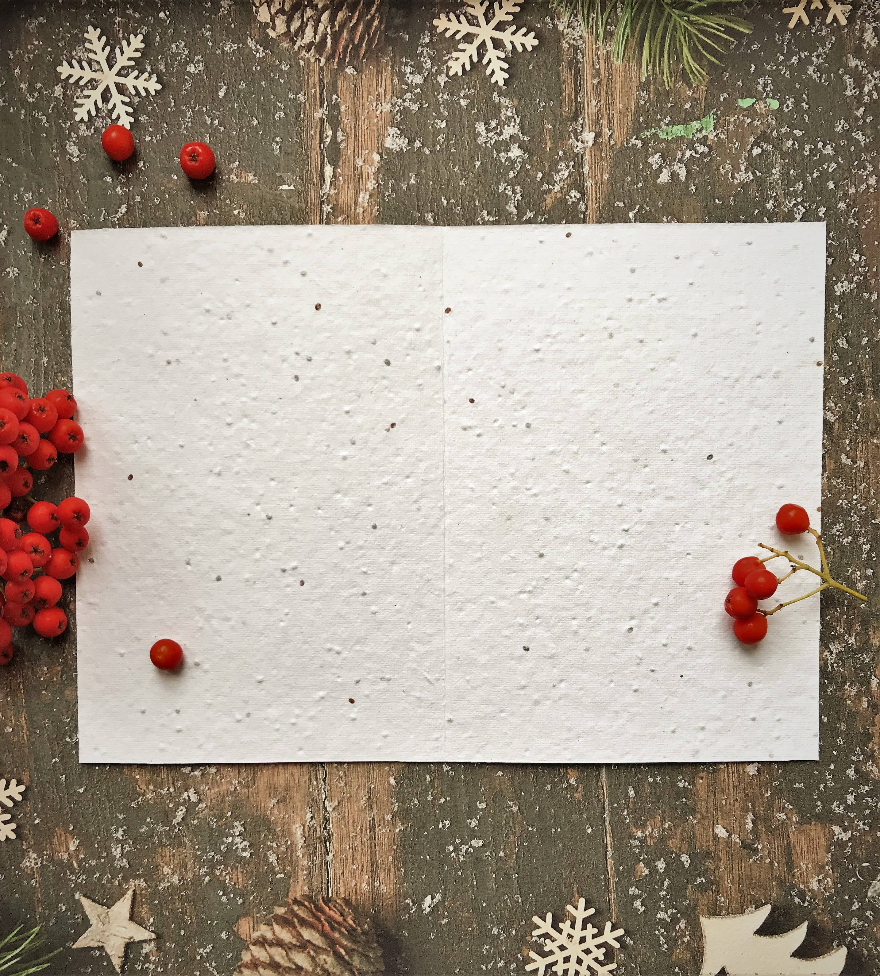 White textured paper on a rustic wooden surface with red berries and snowflake decorations.