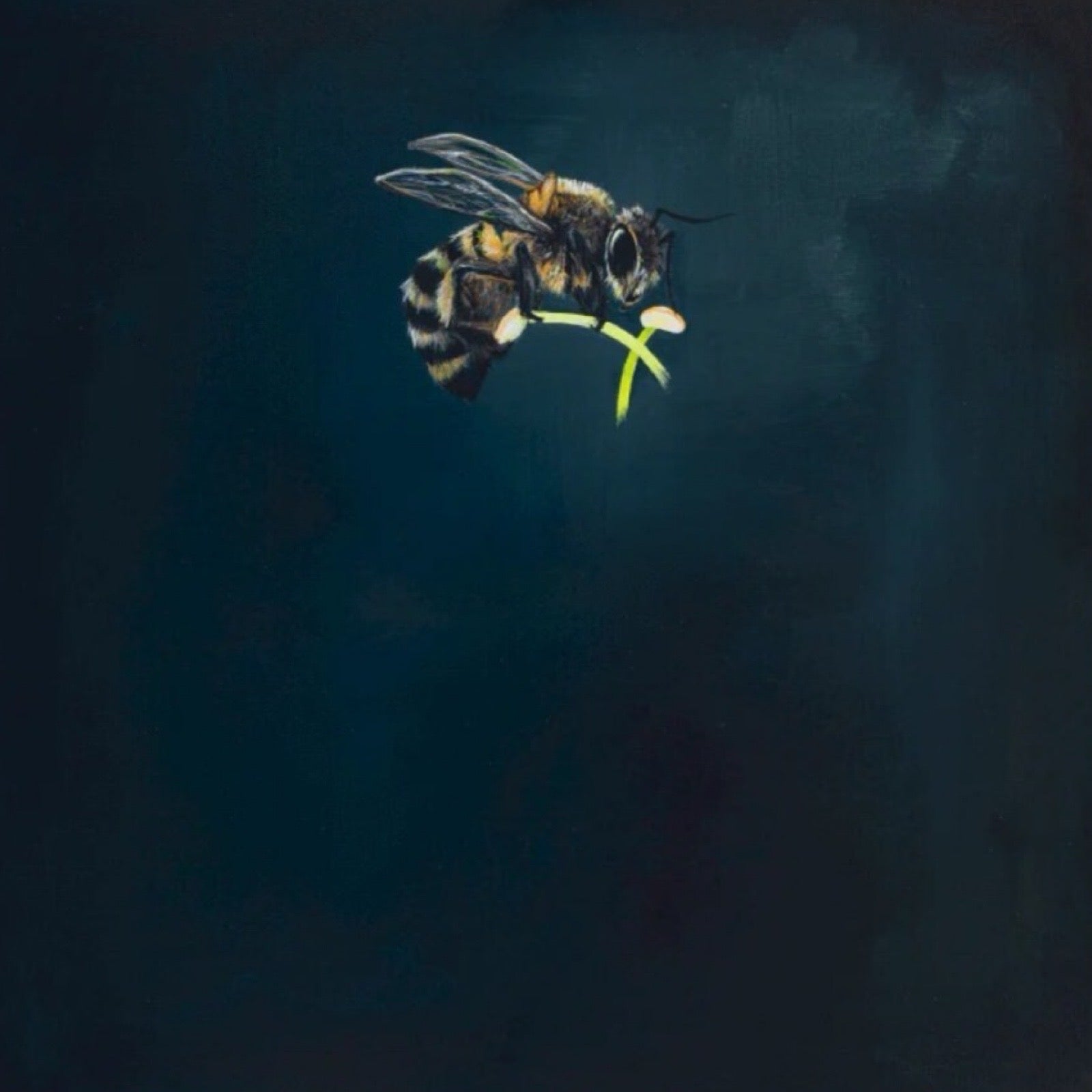 A gorgeous print of a worker bee on a navy background is taken from an original painting.