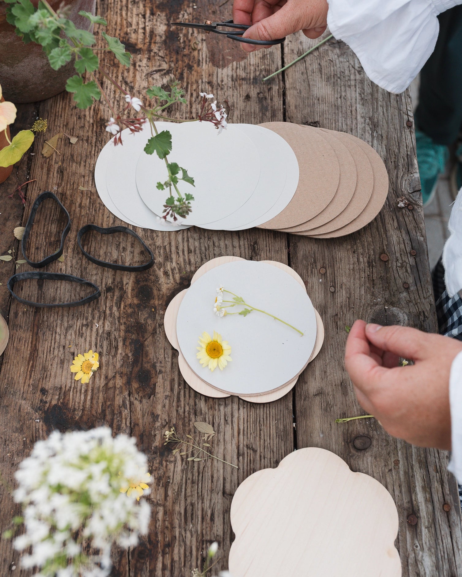 Person pressing flowers on paper flower pressers on a wooden table.