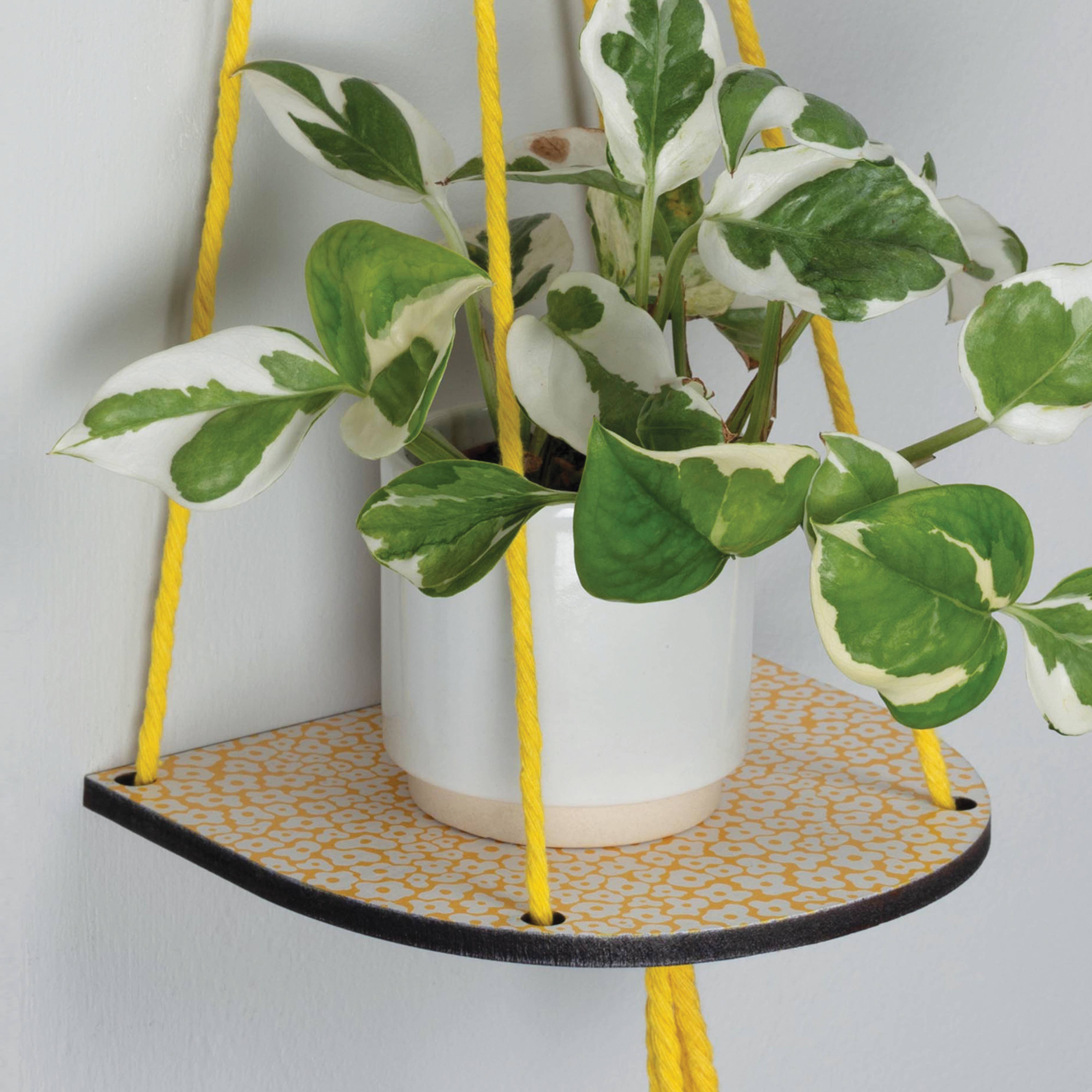 Hanging plant shelf with a plant on a white background.