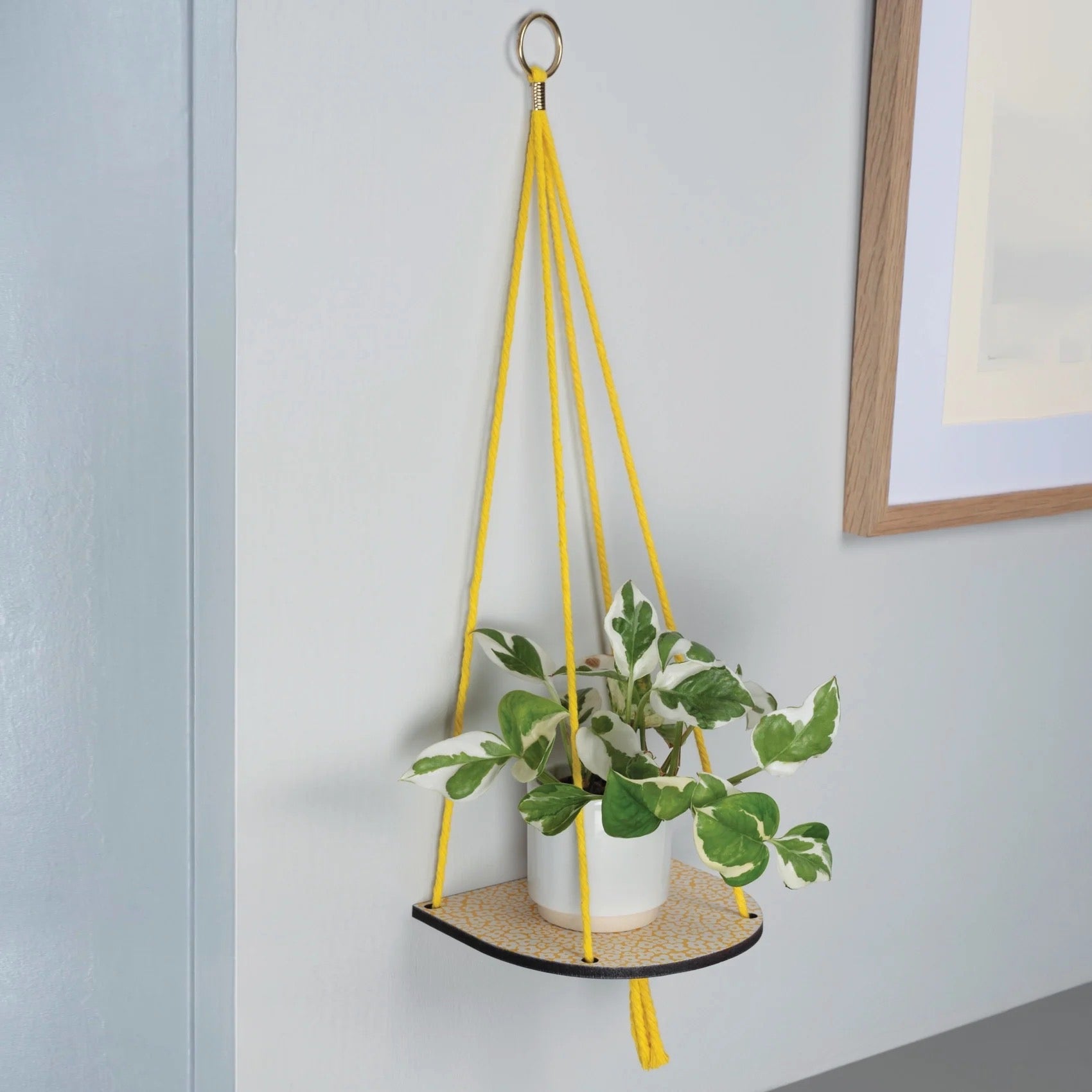 Hanging plant shelf with yellow straps against a light grey wall.
